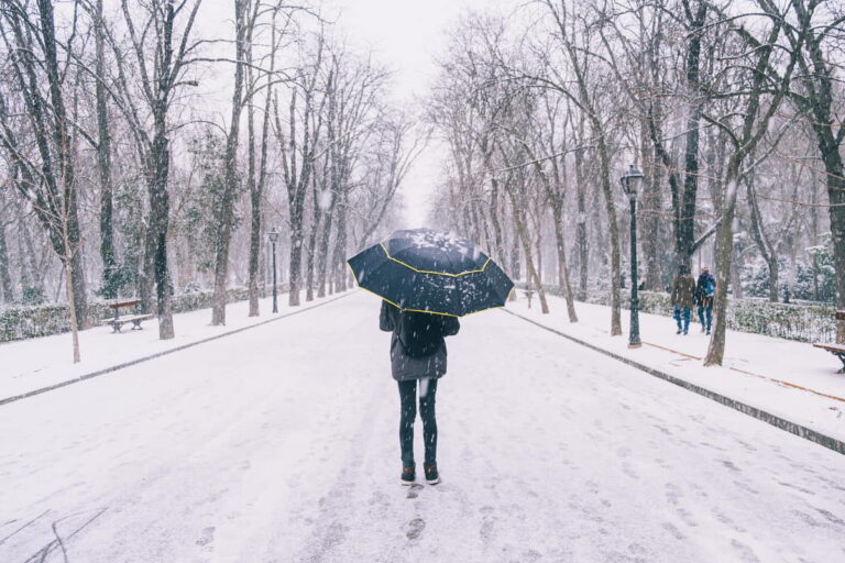 Een persoon loopt door een met sneeuw bedekt laan in een park met een paraplu in hand. Het bligt sneeuwen.