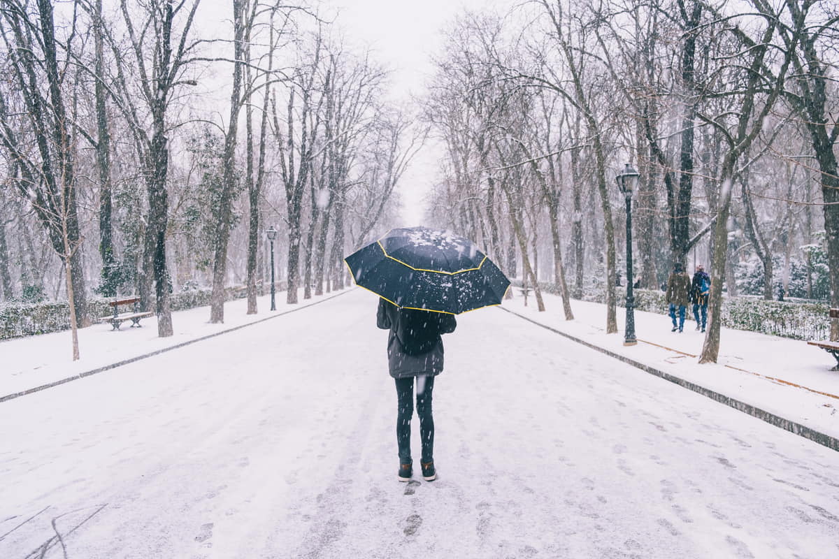 Een persoon loopt door een met sneeuw bedekt laan in een park met een paraplu in hand. Het bligt sneeuwen.