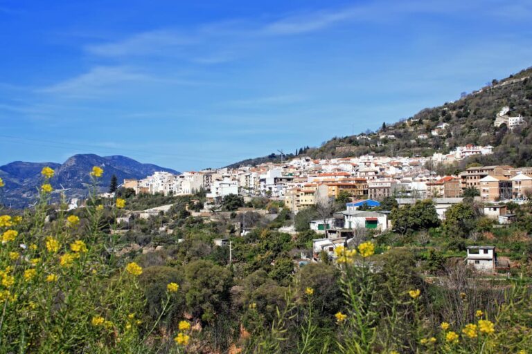 Panoramisch uitzicht op Lanjarón in de provincie Granada, met witte huizen tegen de berghelling en bloeiende vegetatie op de voorgrond.